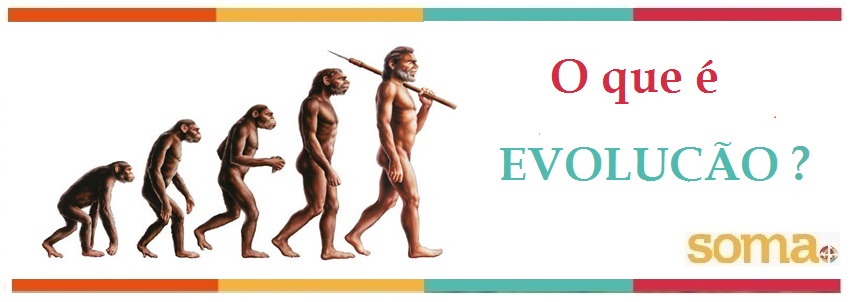 O que é evolução?